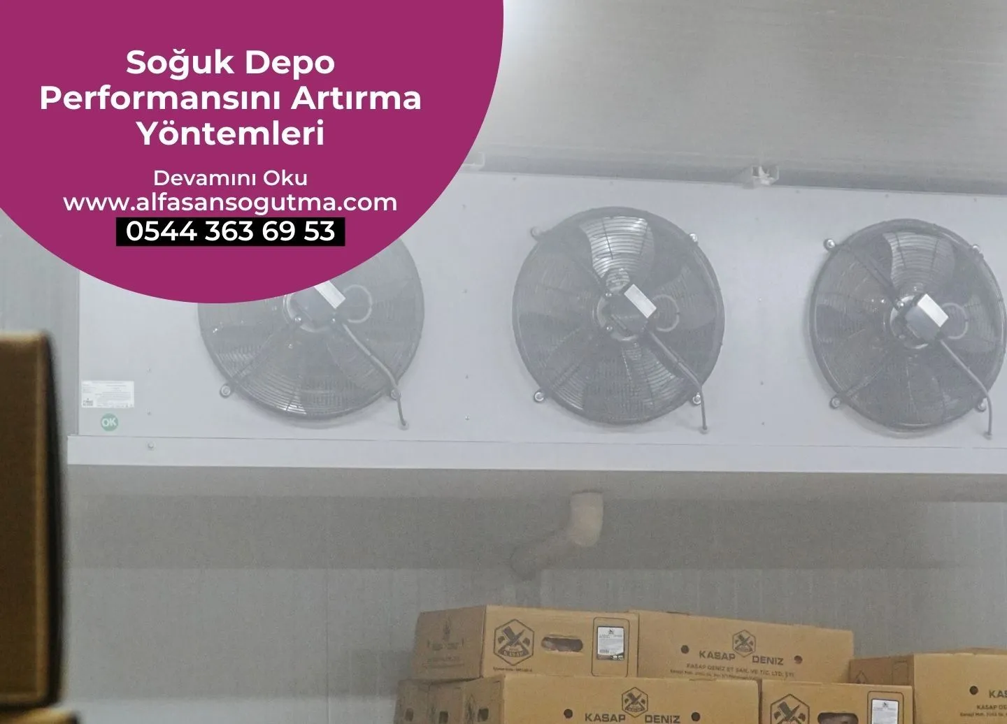 Soğuk Depo Performansını Artırma Yöntemleri